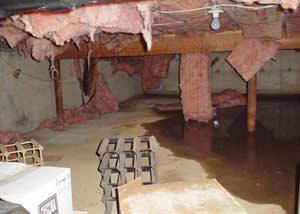 Fiberglass dripping off of the ceilings of a Bloomington crawl space