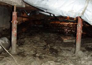 Old, corroded crawl space jack posts in Fort Wayne.