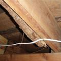 A repaired floor joist in a Muncie crawl space.