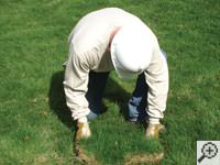 Restoring the landscaping by replacing removed sod on the ground for a Kokomo home.