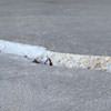Slab floor cracks showing in a Seymour home