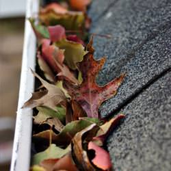 Clogged gutters filled with fall leaves  in Avon
